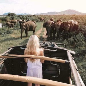 Hotel Greenwood Udawalawa Safari Resort cazare Udawalawa