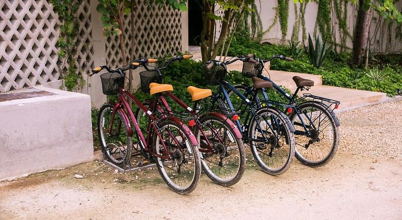 Alea Tulum