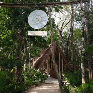 Hotel The Yellow Nest cazare Tulum