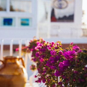 Hotel Il Giardino Dell'arte cazare Anacapri