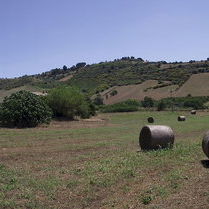 Hotel Casale Delle Rose cazare Caltagirone