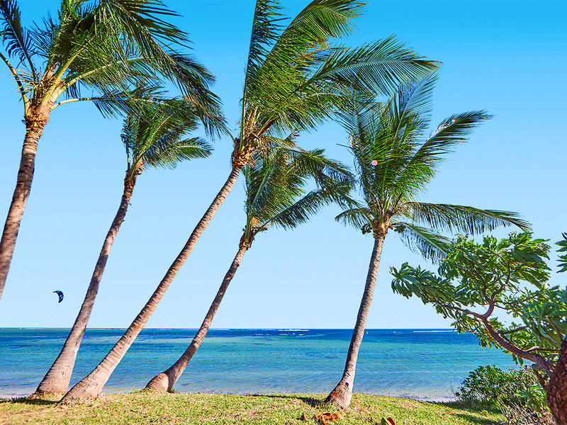 Hotel Riu Turquoise