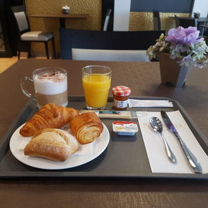Hotel Nash Airport cazare Geneva
