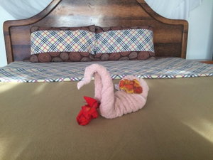 Hotel Aluna cazare Nungwi