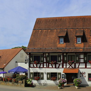 Hotel Gasthof Adler cazare Salem
