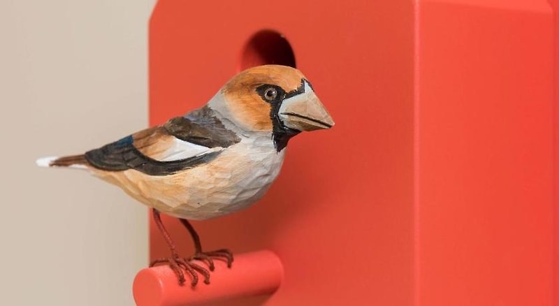 Hotel Fischer Tafernwirtschaft