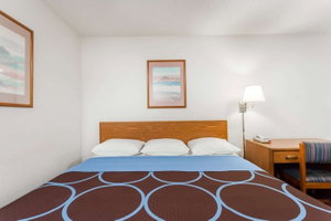 Hotel Super 8 By Wyndham Sidney Ny cazare Sidney