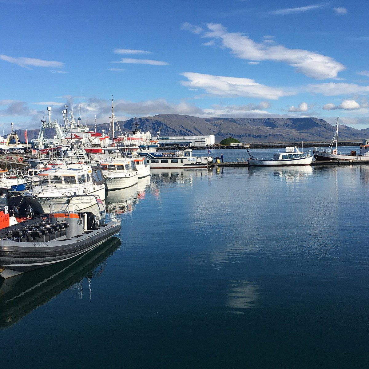 Oferte Vacante Reykjavik, Islanda 2025 - 2026 - Cazare, Sejururi, Circuite