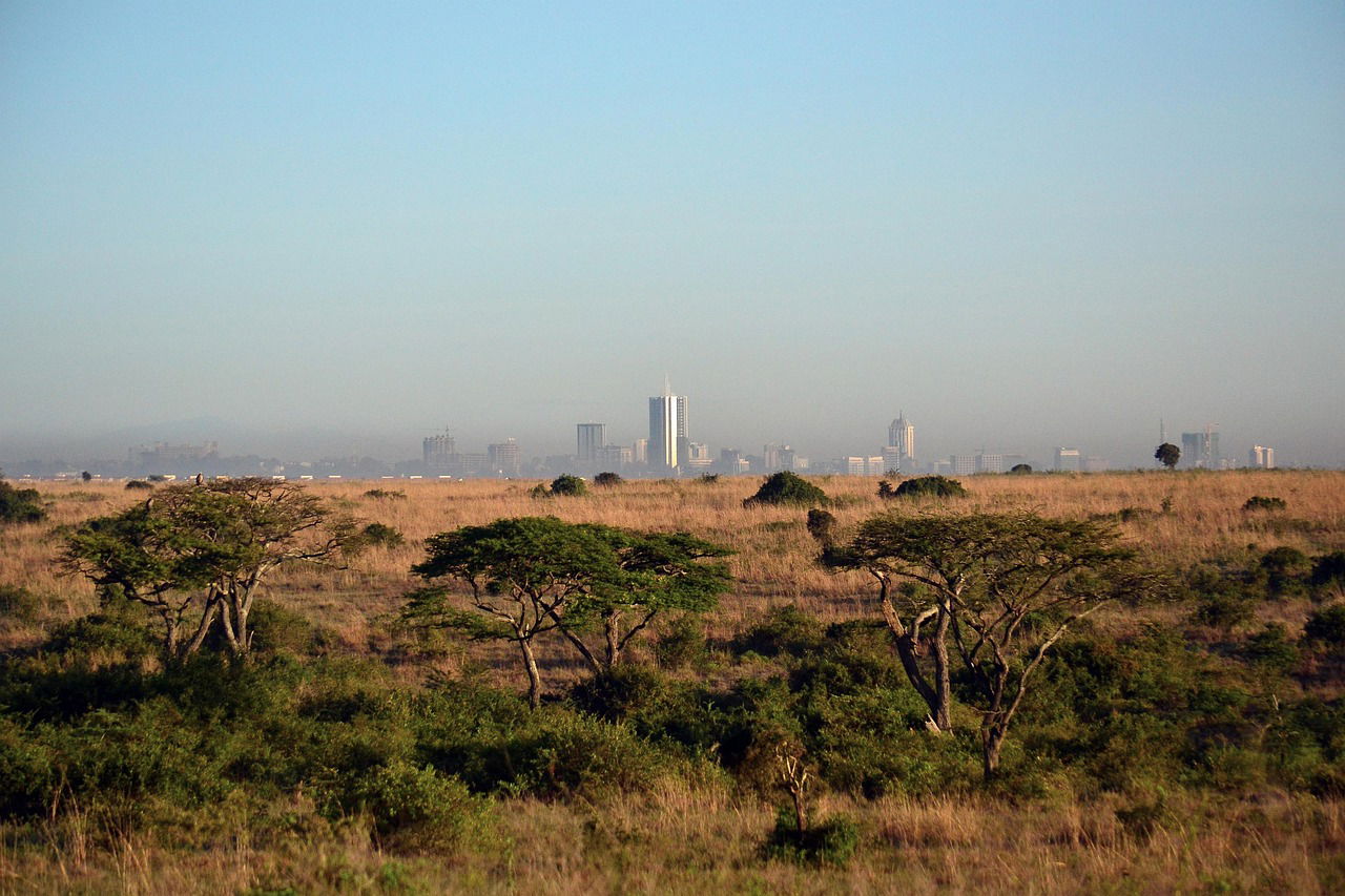 Cazare Nairobi Area