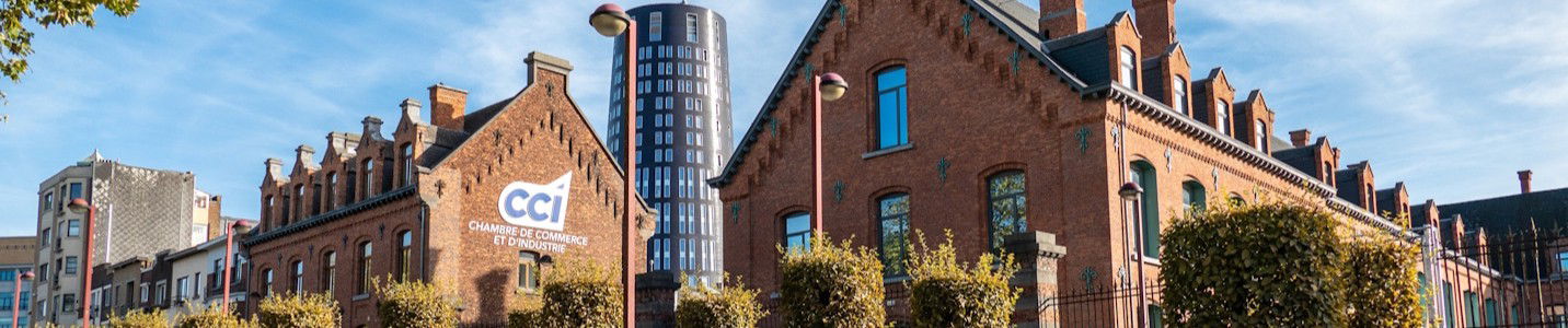 Oferte cazare Wallonia, Belgia iarna 2025