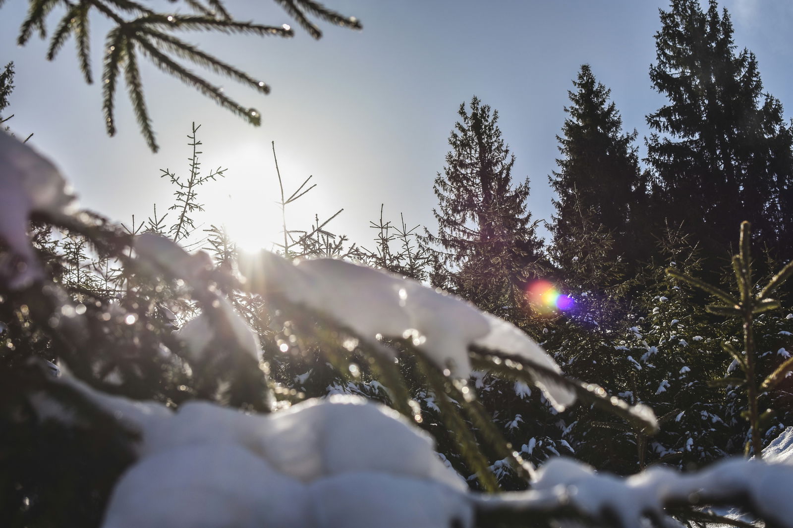 Calatorii in Vartop - Cazare, Sejururi, Circuite