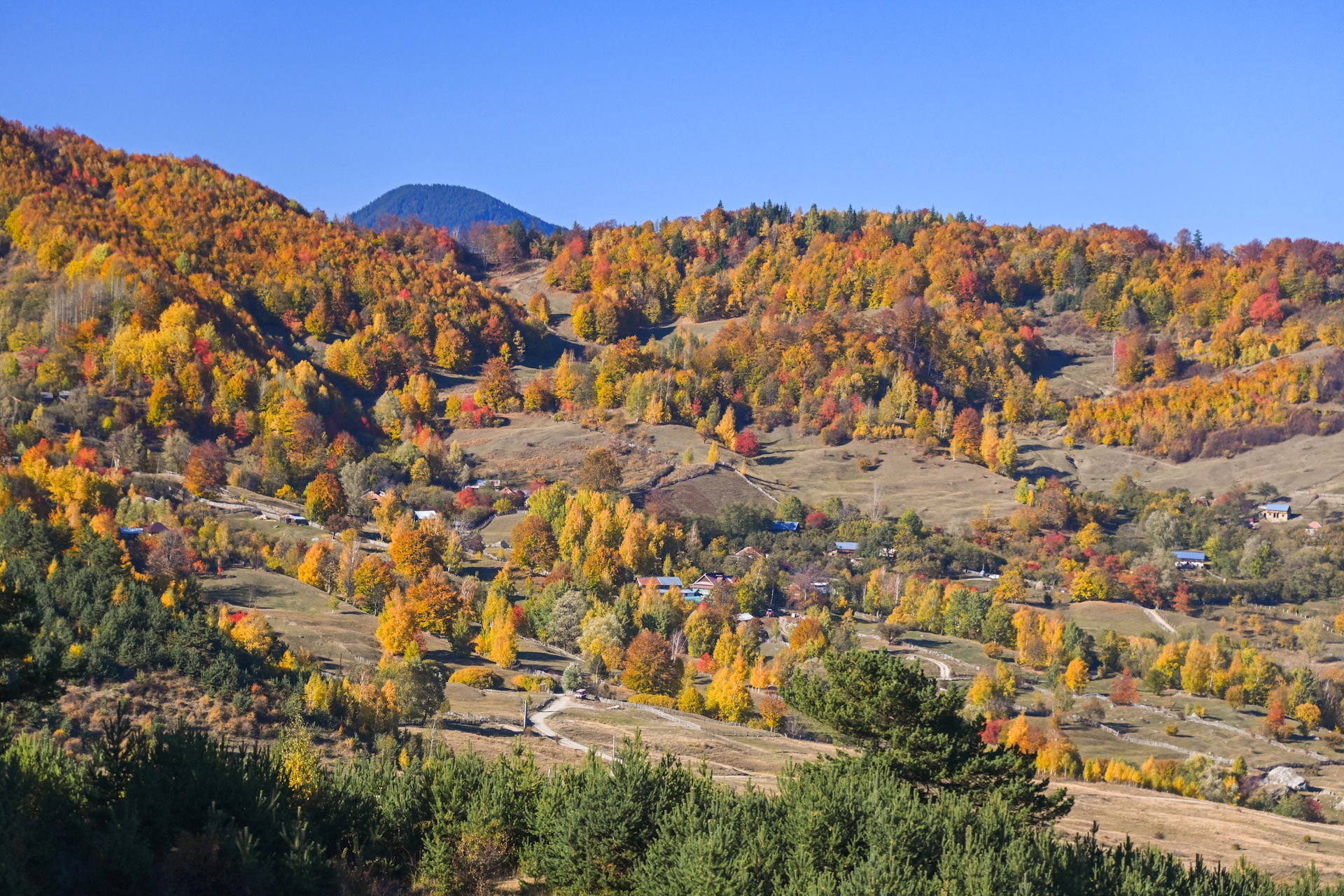 Oferte cazare Plaiu, Prahova ❤️ Redescopera traditia autentica!