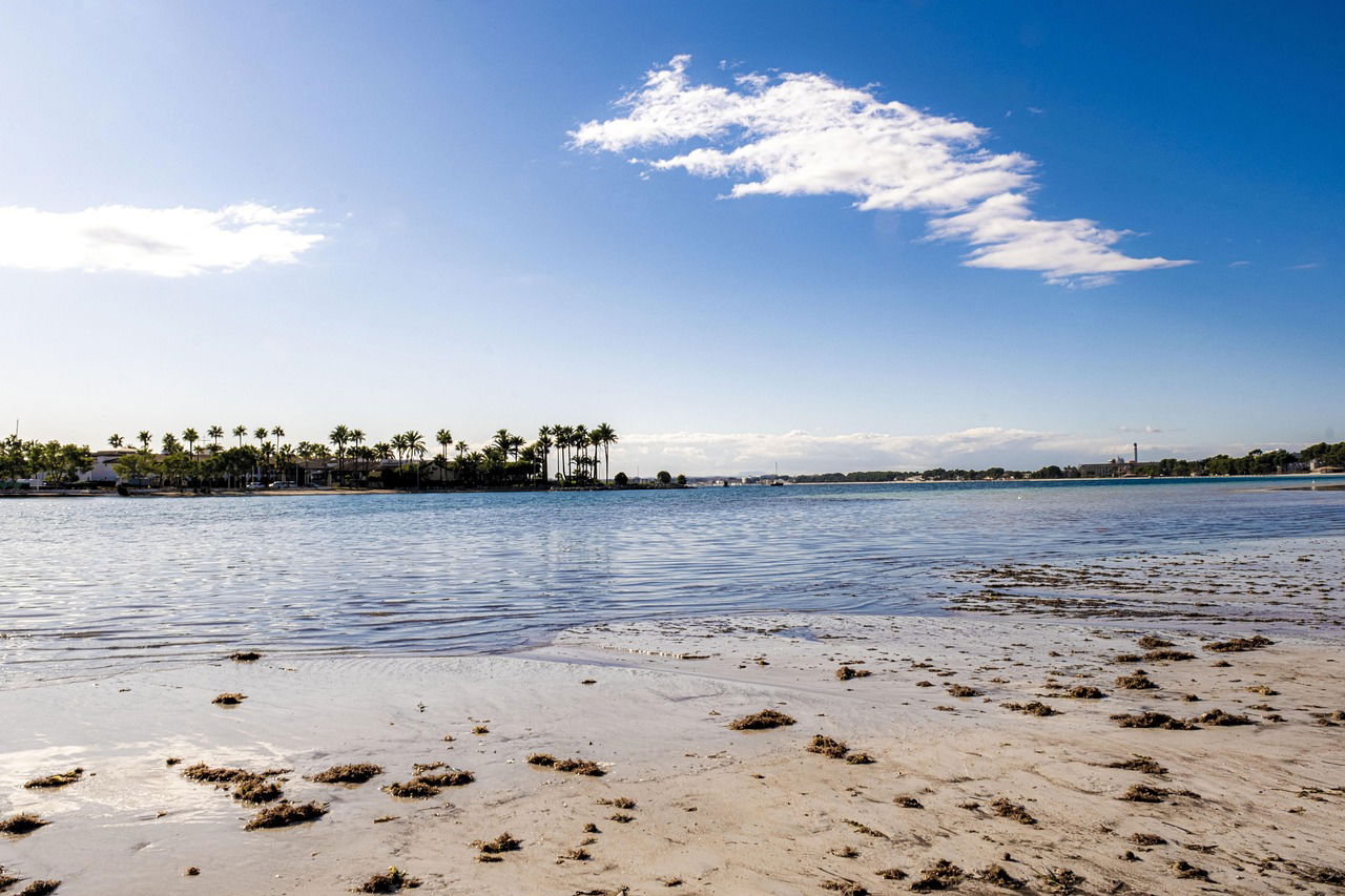 Calatorii in Alcudia - Cazare, Sejururi, Circuite