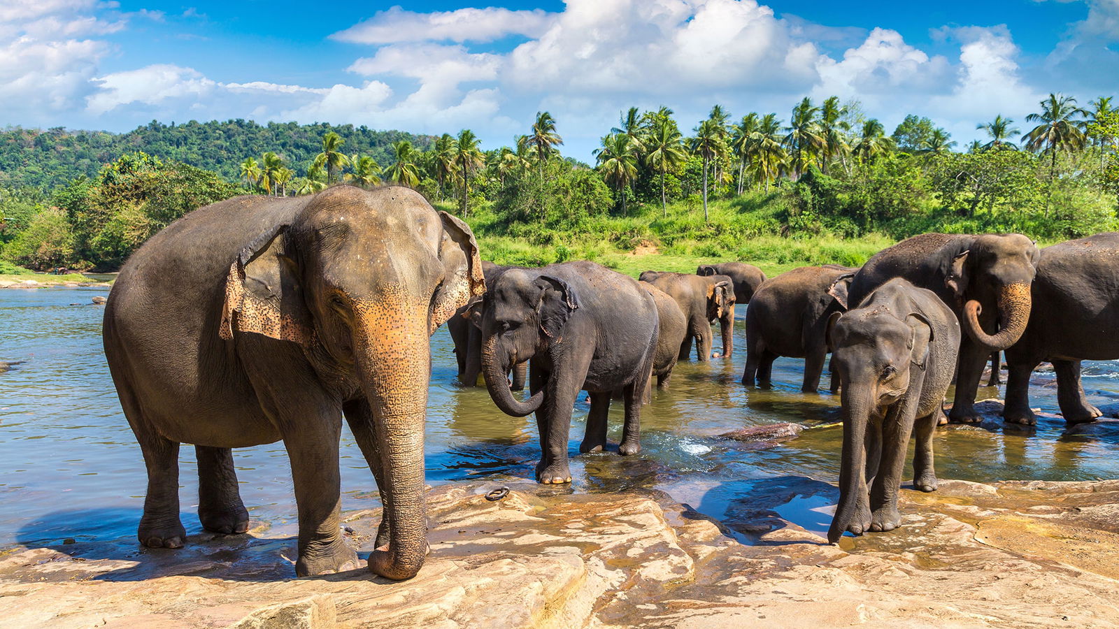 Calatorii in Sri Lanka - Cazare, Sejururi, Circuite