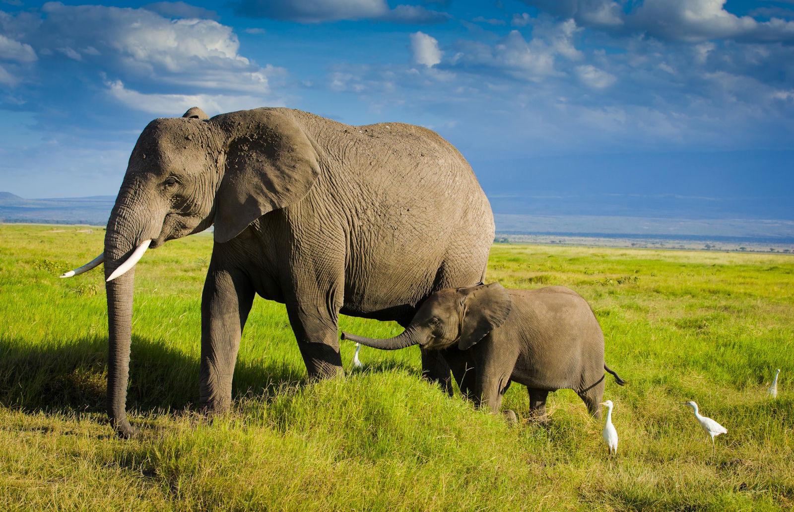 Calatorii in Katavi - Cazare, Sejururi, Circuite