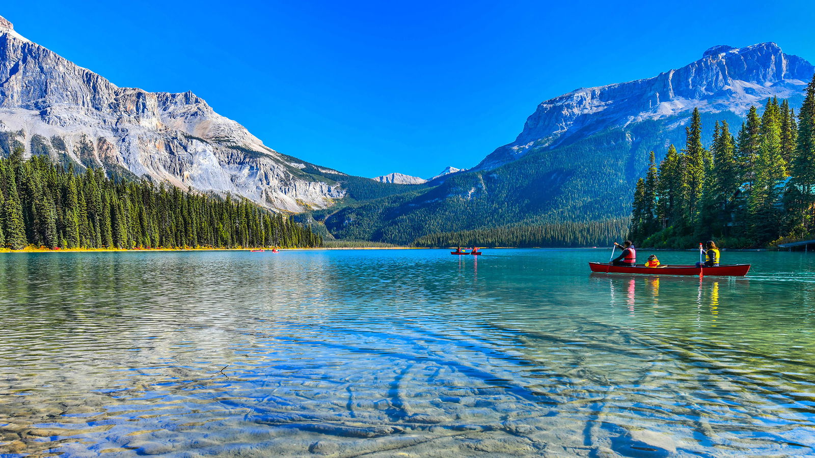 Excursii Circuite Canada