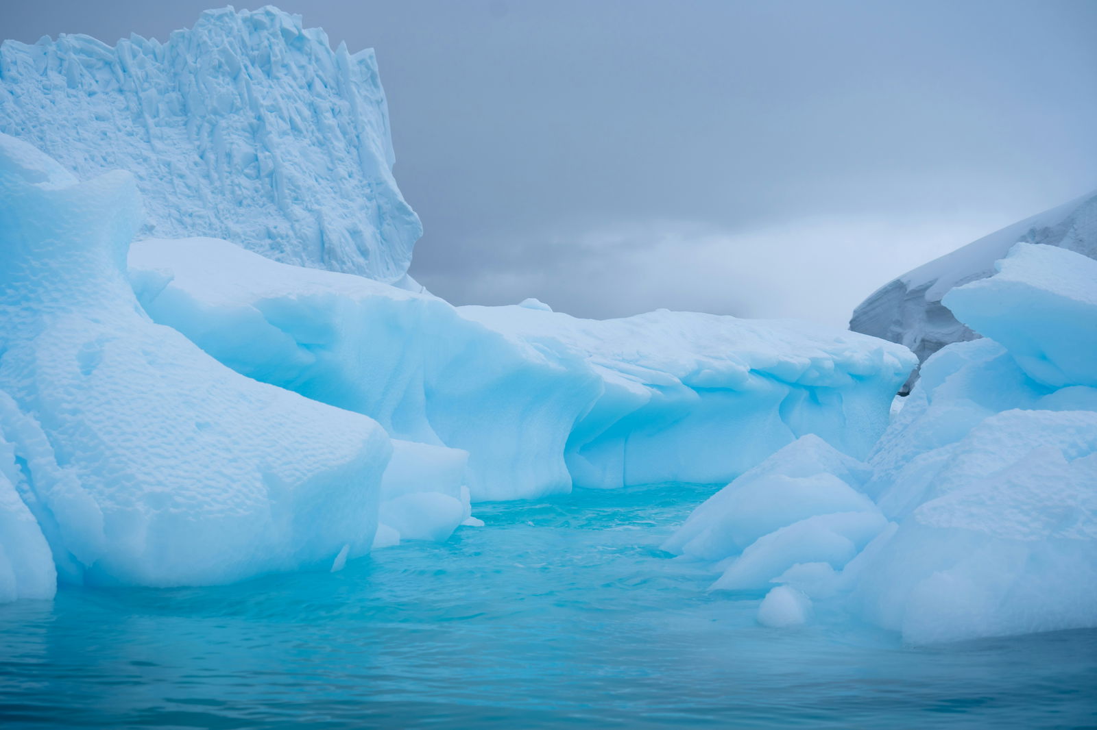 Calatorii in Port-aux-Francais - Cazare, Sejururi, Circuite