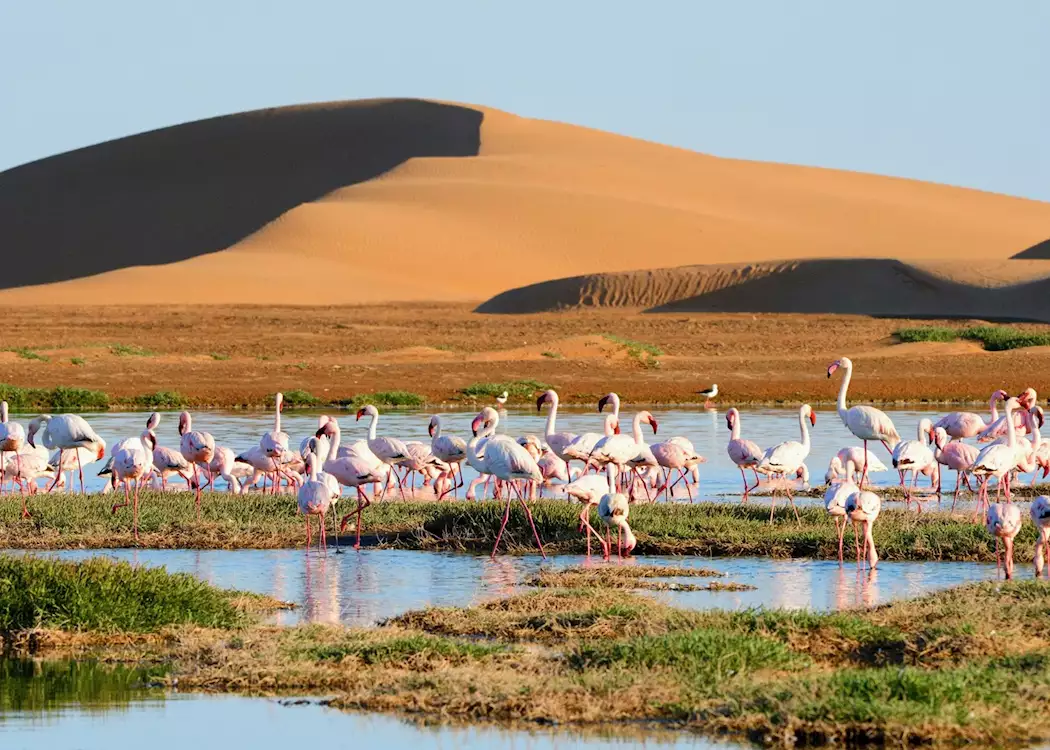 Walvis Bay