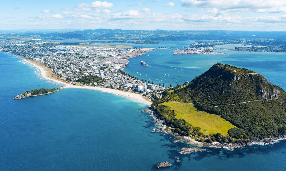 Tauranga