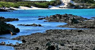 Golful Sulivan (Insula Santiago), Galapagos