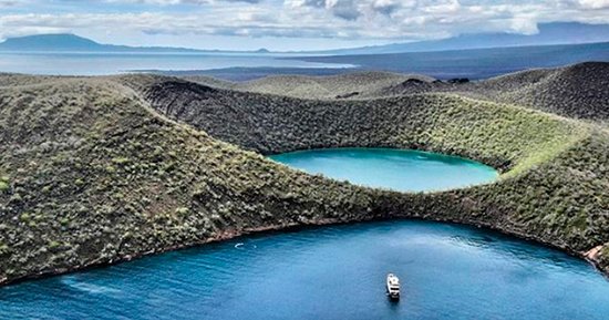 Caleta Tagus (Insula Isabela), Galapagos