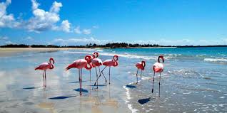 Las Bachas (Insula Santa Cruz), Galapagos