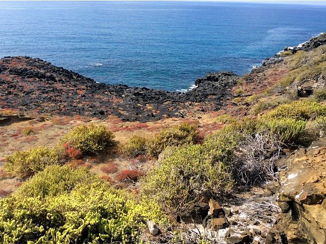 Punta Pitt (San Cristobal), Galapagos