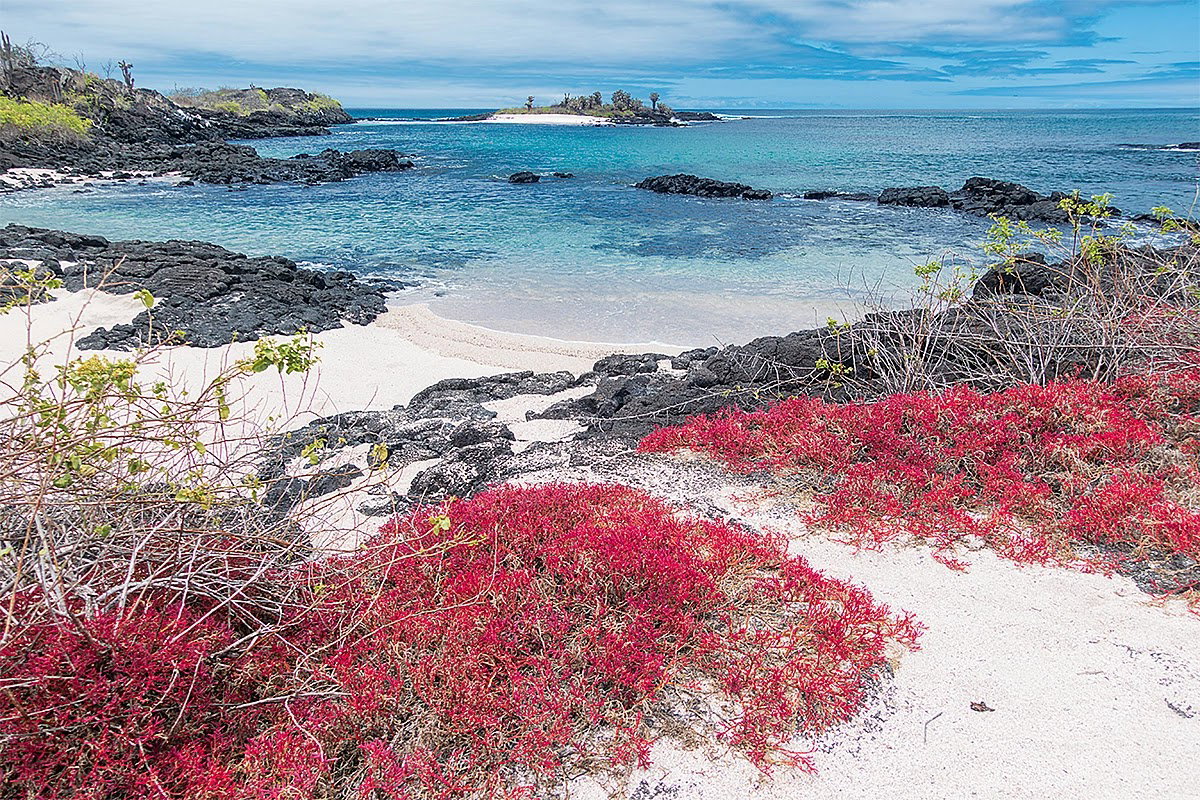 Insula Floreana, Galapagos