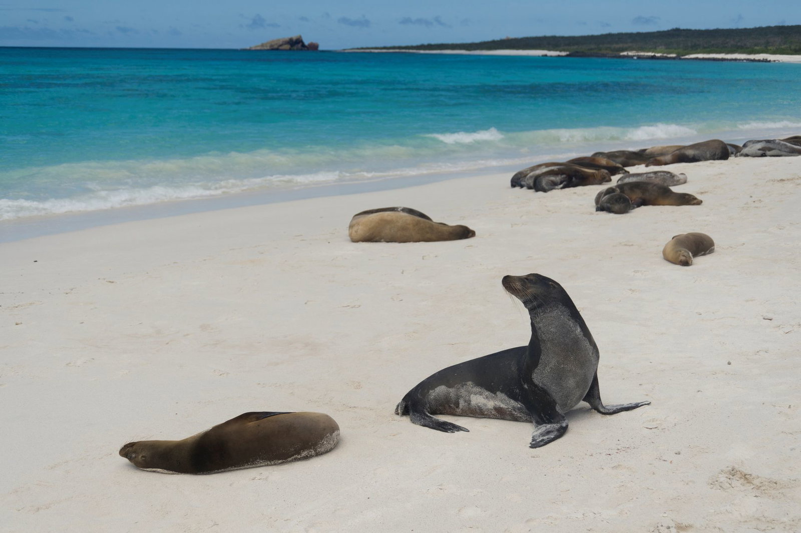 Golful Gardner (Insula Espanola), Galapagos