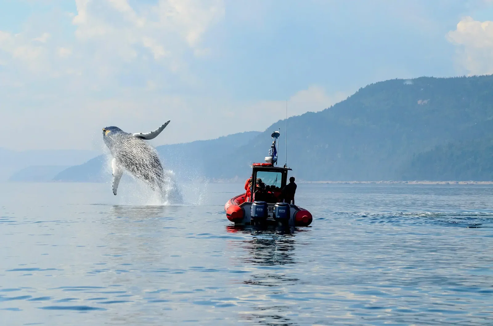Fiordul Saguenay, Canada (pe mare)