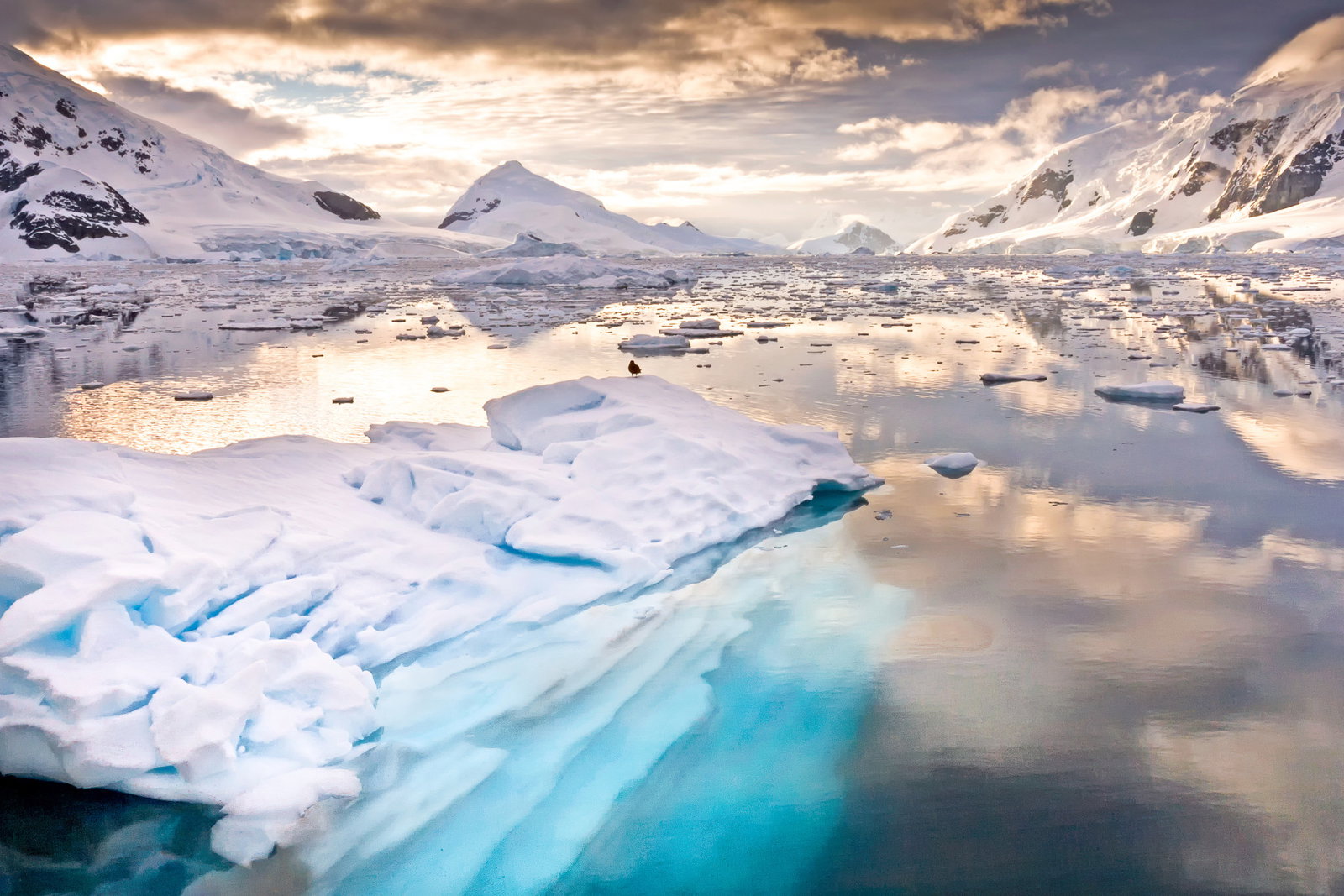 Paradise Bay, Antarctica (pe mare)
