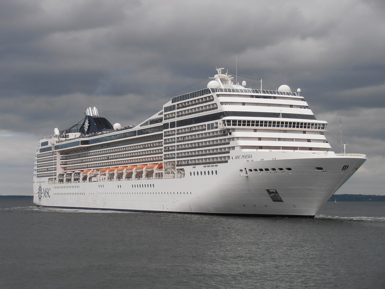 MSC POESIA